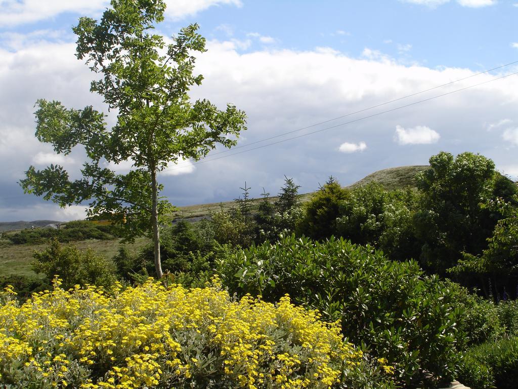 Ben Breen House B&B Clifden Exteriör bild